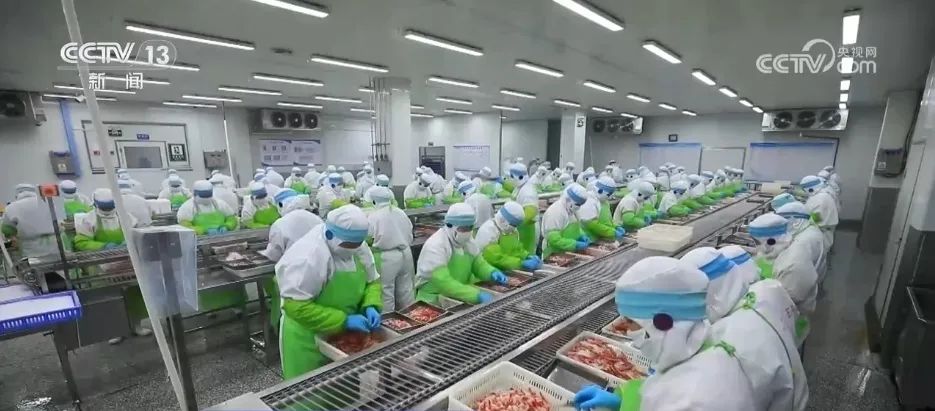 2.21万亿元、同比增长4.0% 我国一季度冷链物流需求稳中有升
