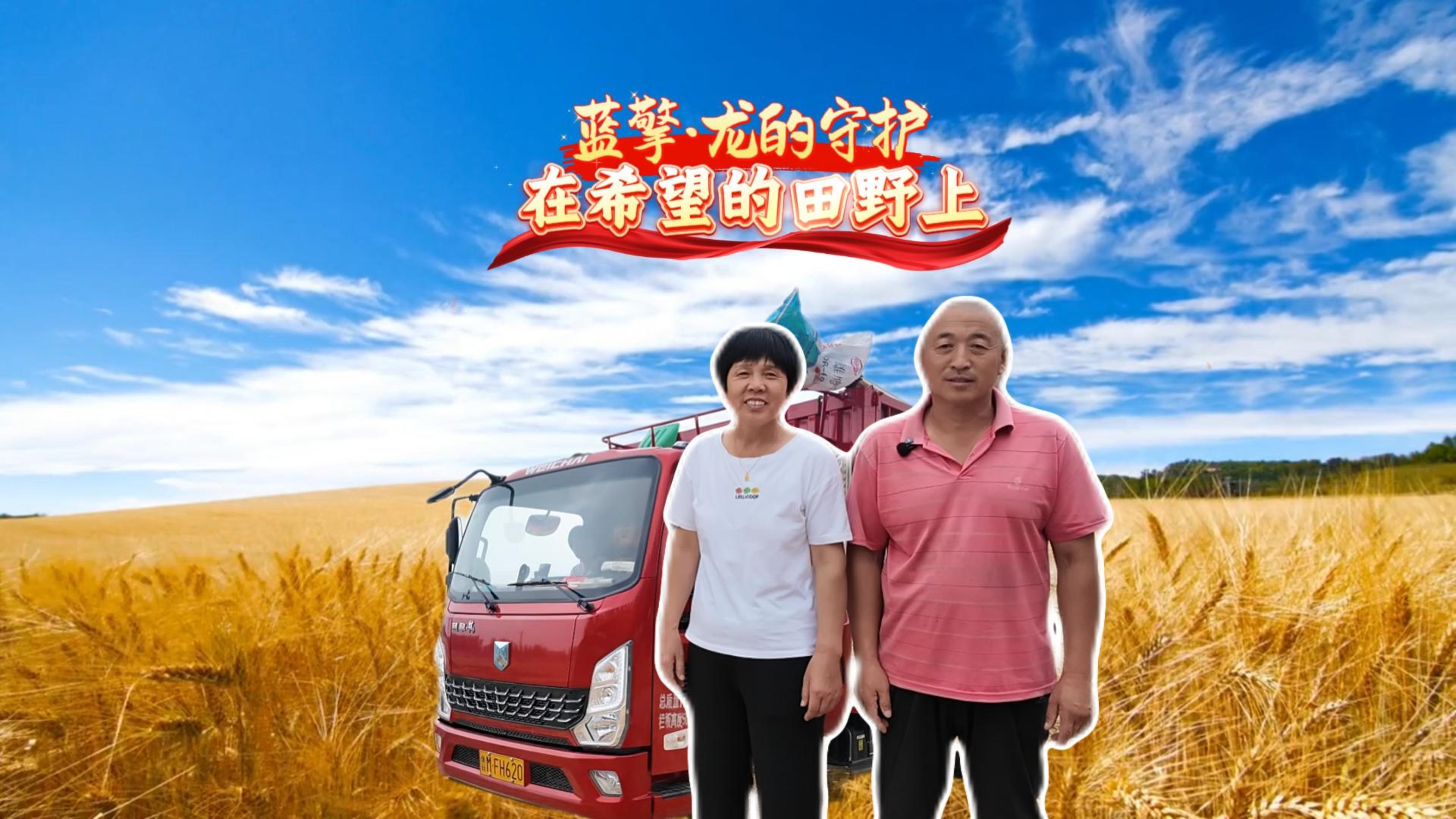 蓝擎·龙的守护 在希望的田野上